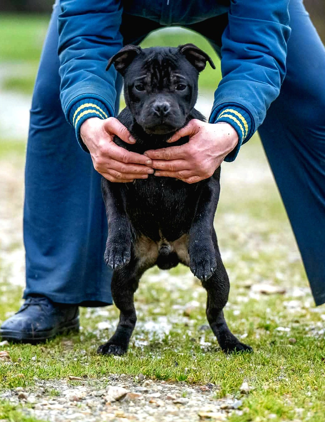 Anakin des Espoirs de Wallieux